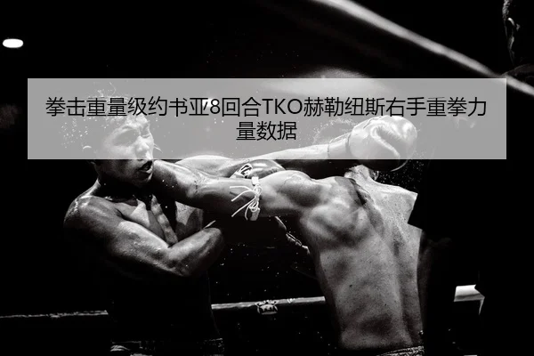 拳击重量级约书亚8回合TKO赫勒纽斯右手重拳力量数据